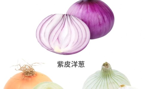 露额头的功效网-分享露额头有哪几种发型，面相学上露额头的寓意知识库